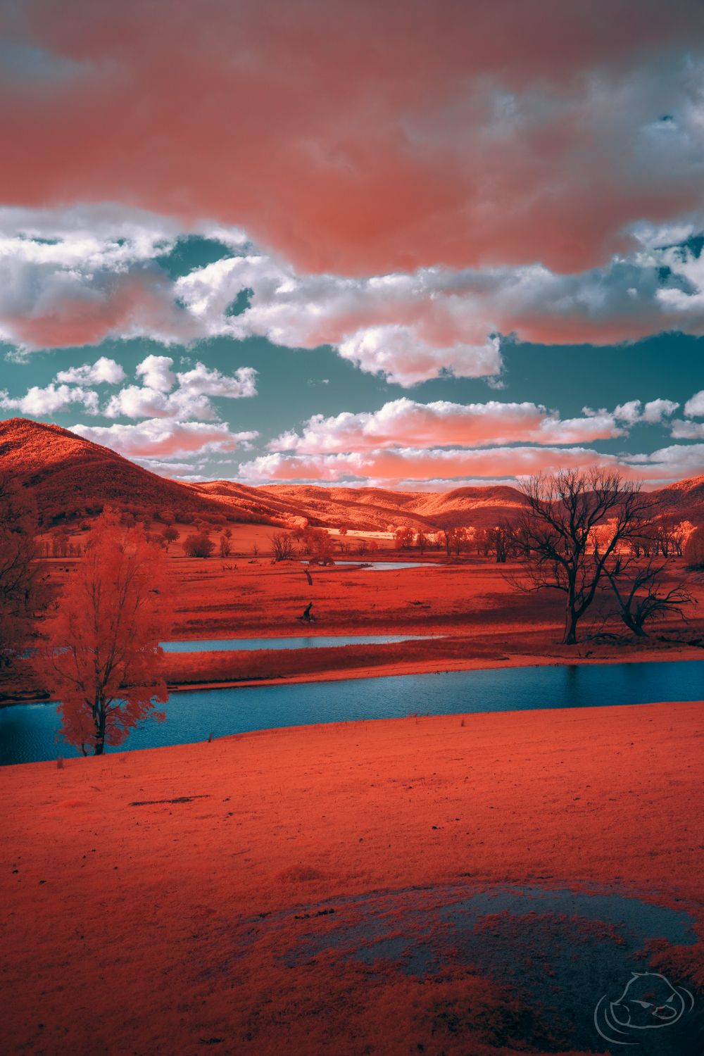 Across the river - Infrared