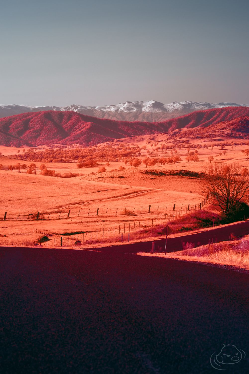 Mountain road - Infrared