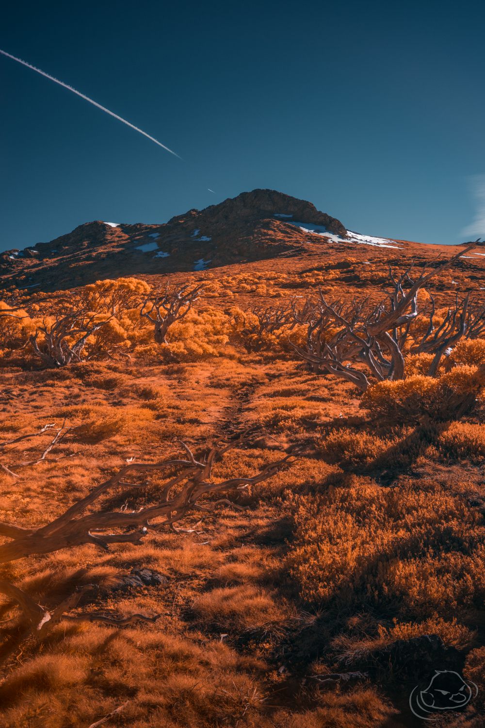 Path to the summit - Infrared