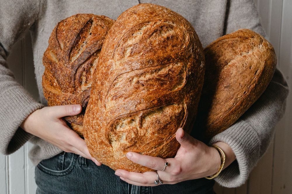 Fresh baked artisanal sourdough bread loaves being held against a gray sweater background.
