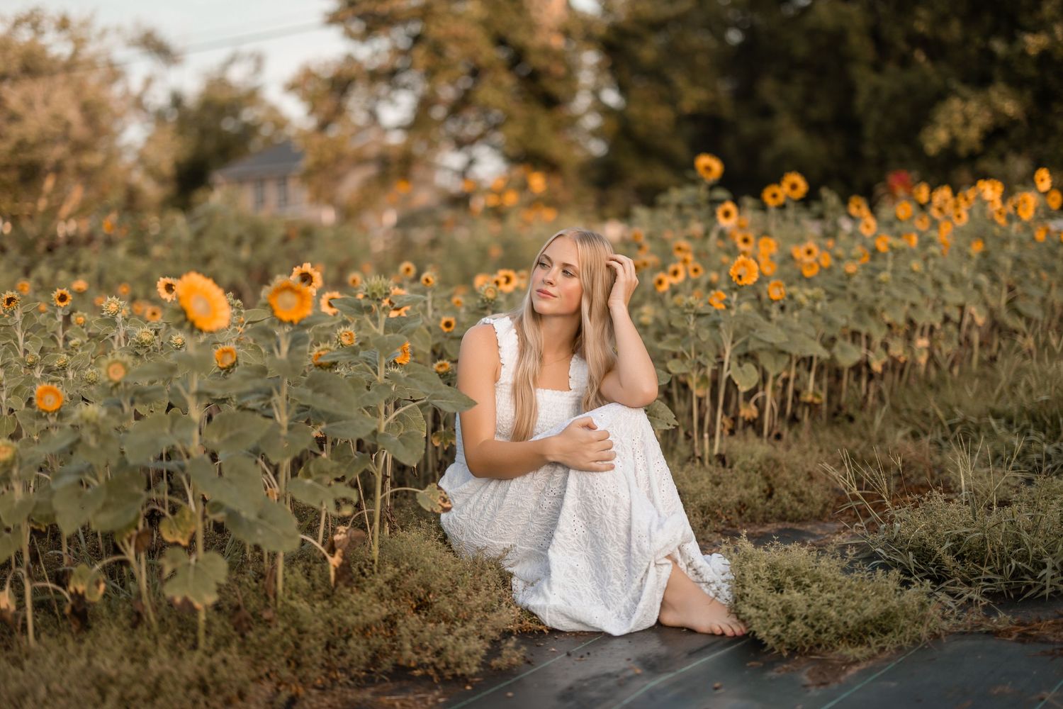 A woman in a white dress sits gracefully among blooming orange wildflowers in a golden autumn field.