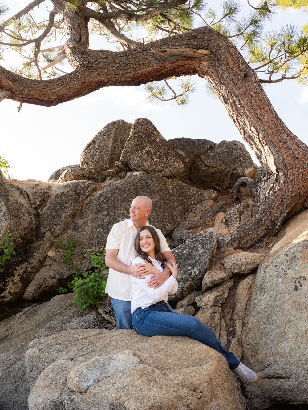 A couple sits together on large rocks under a pine tree during an outdoor photo session.