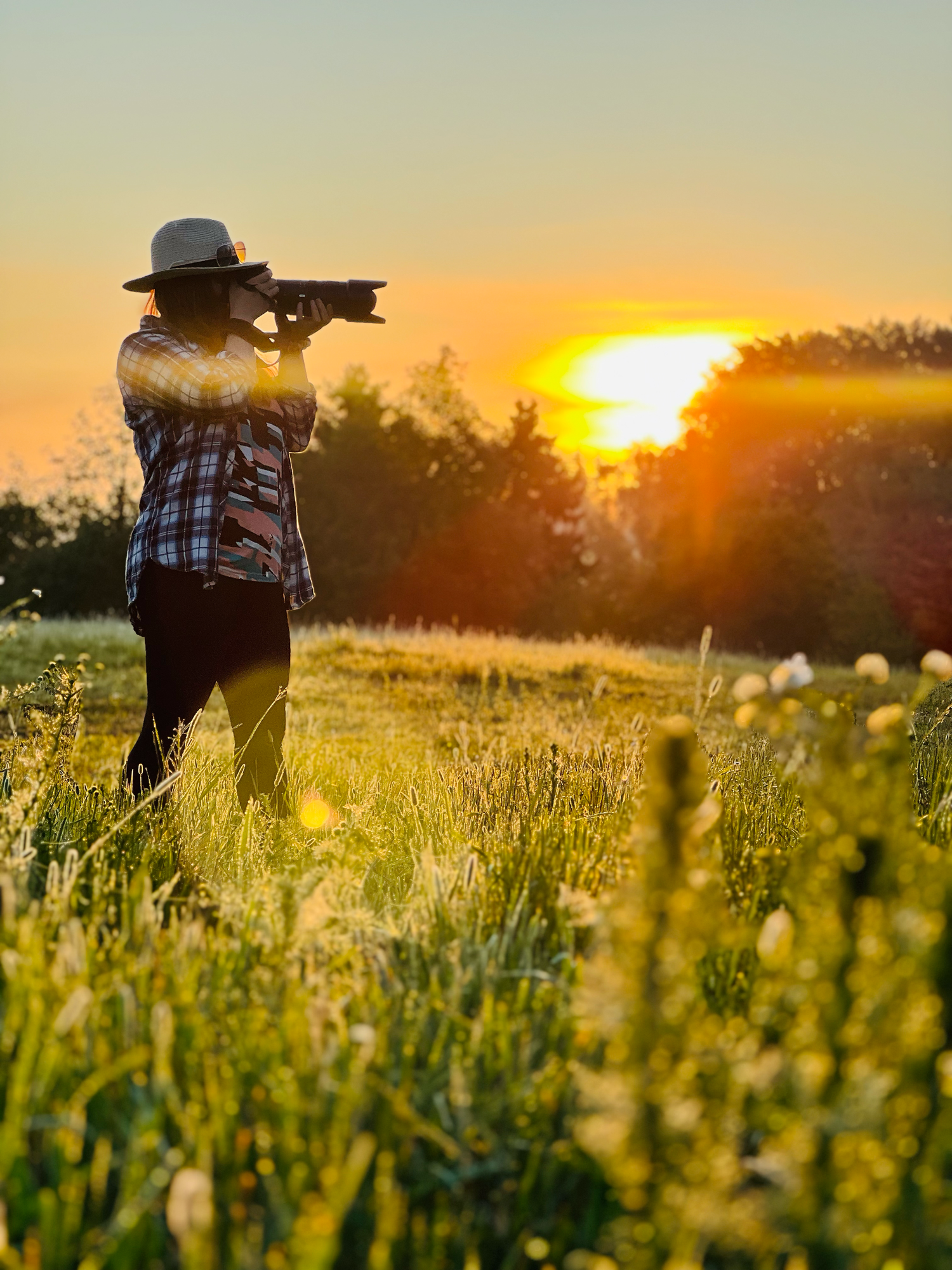 A photographer captures the sunset in a wildflower meadow in Salo