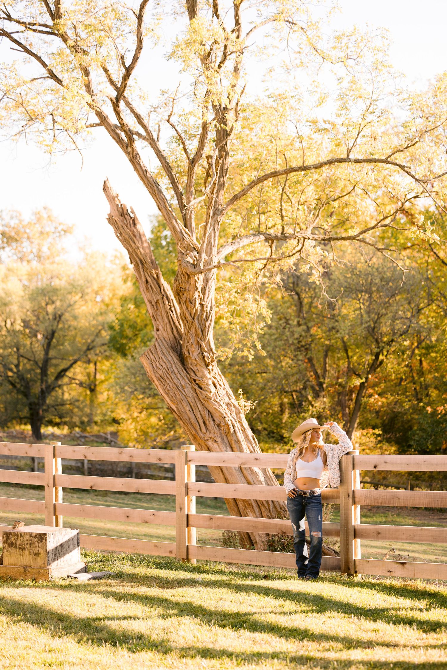 Rustic autumn scene with white wooden fence along grassy hill and golden trees in background during sunset.