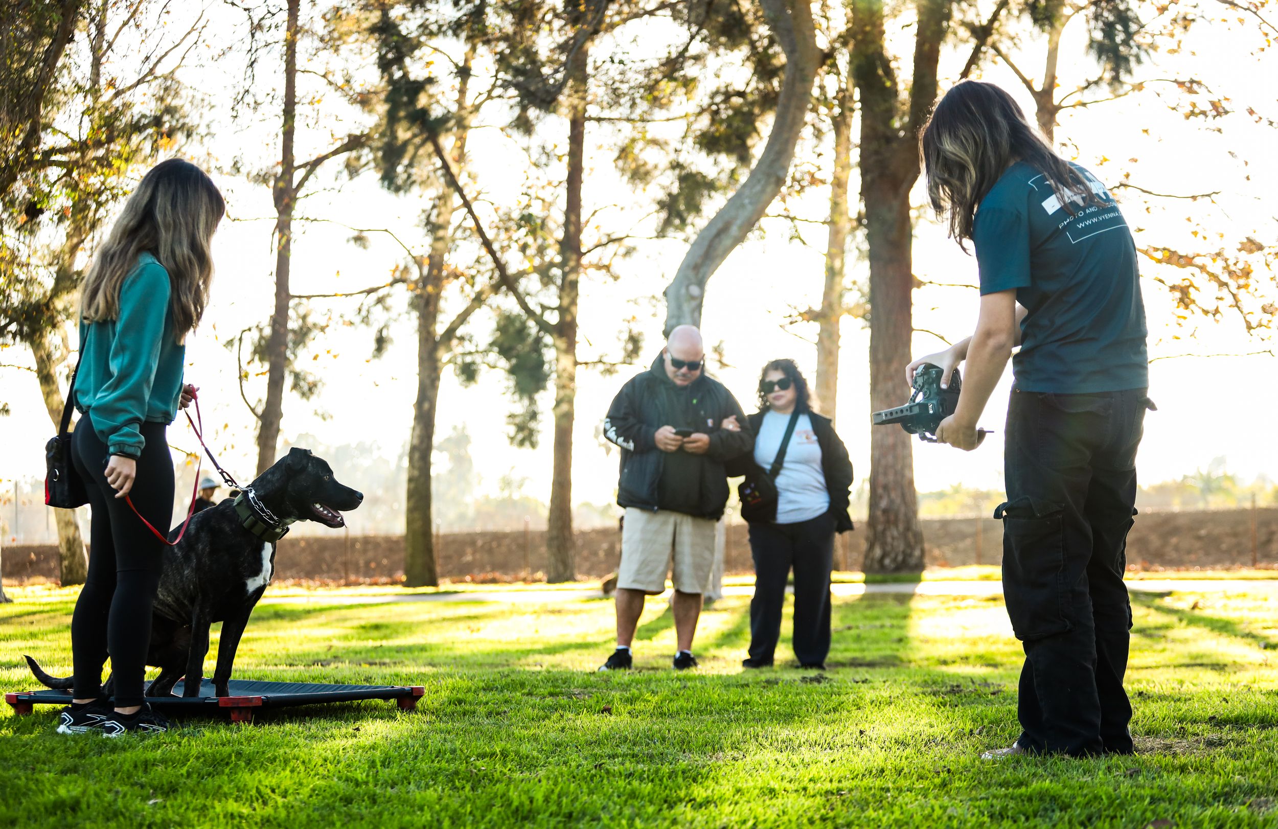 Students gather on a sunny lawn during an outdoor learning session as golden sunlight filters through trees.