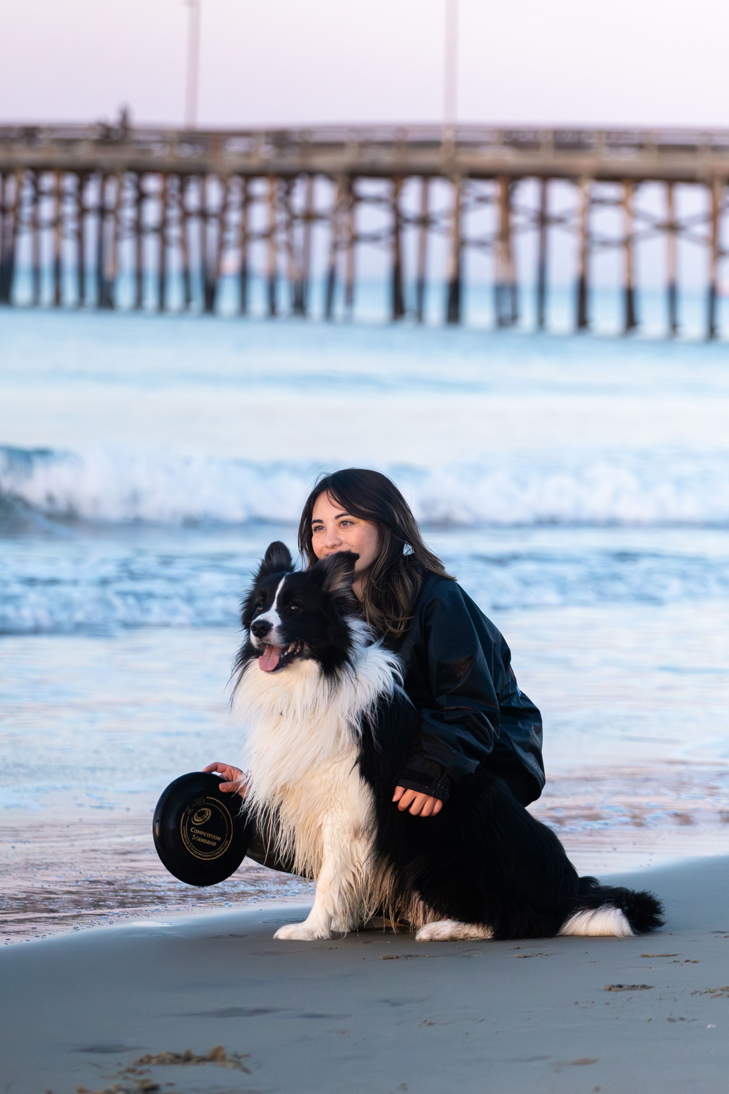 A black and white Border Collie dog lies on a sandy beach with a pier and ocean waves in the background.