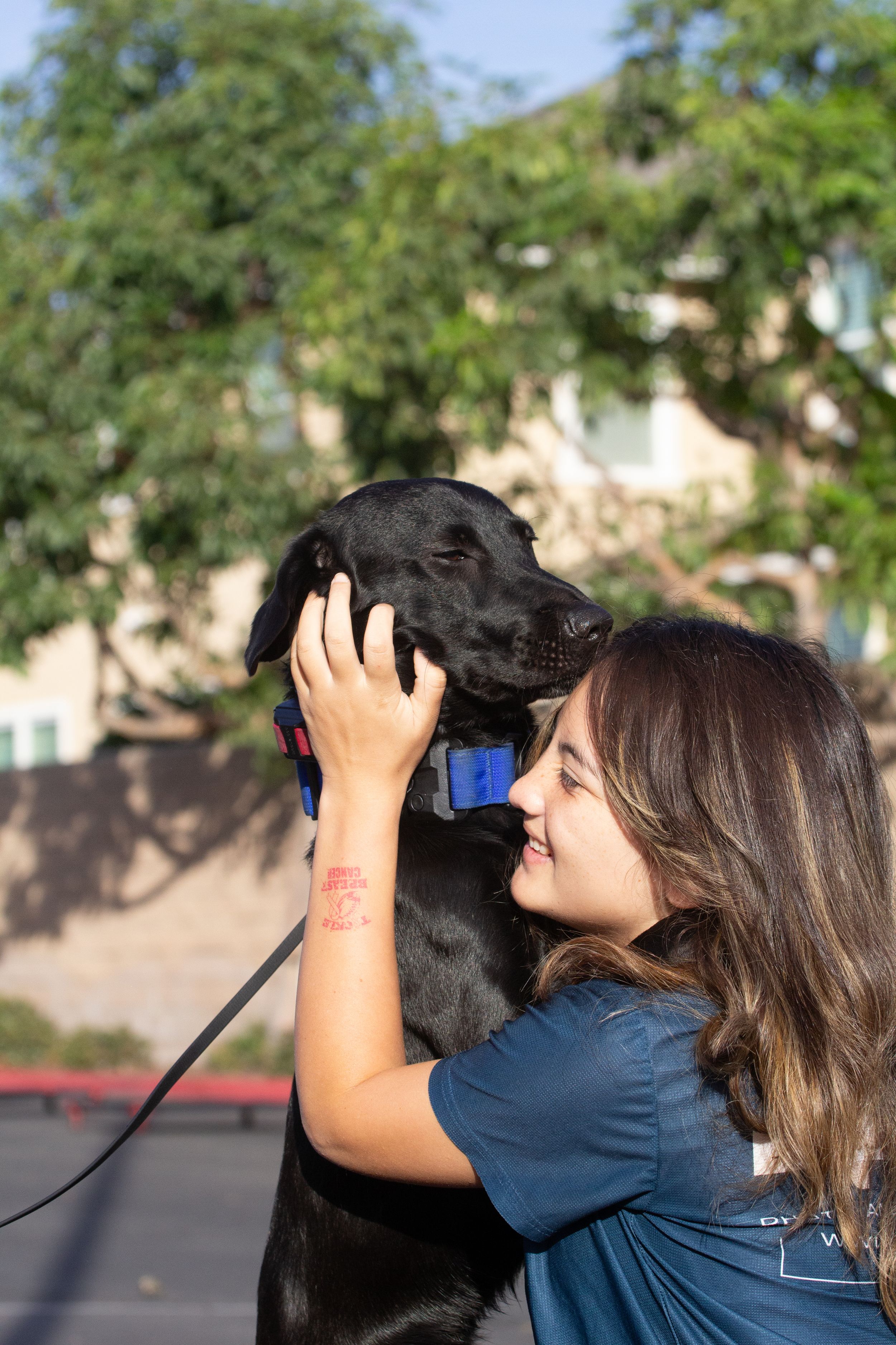 A person in a blue shirt shares a tender moment with their black dog outdoors.