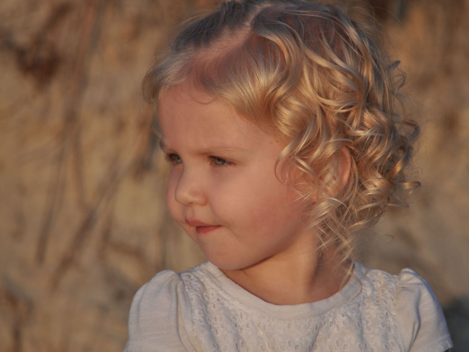 Blonde toddler with curls looks angelic as she gazes at low-tide in golden light at Skaket Beach, Cape Cod, framed by sand dunes.