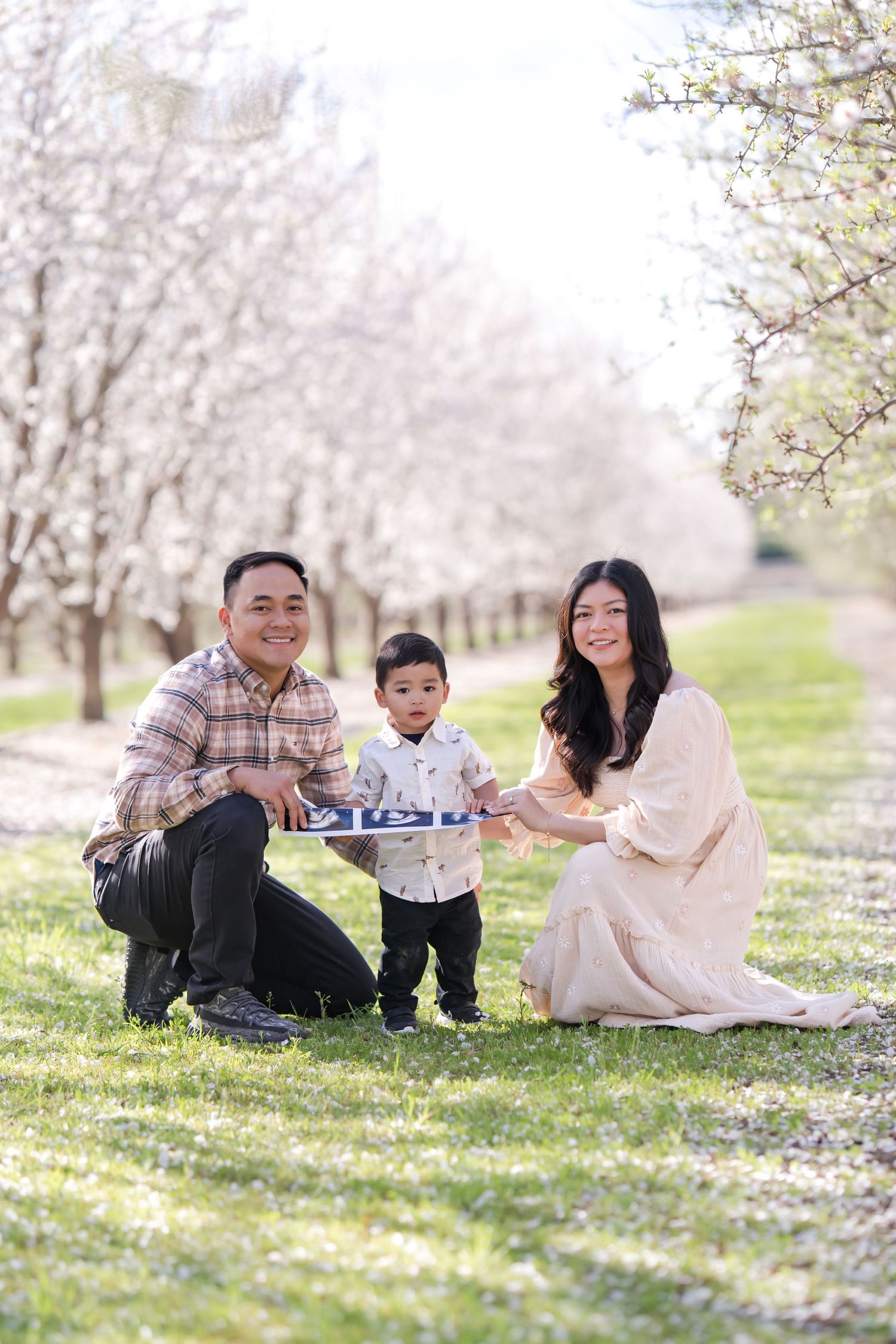 Expecting mother standing gracefully among cherry blossoms in full bloom, capturing the beauty of pregnancy in Sacramento's spring season