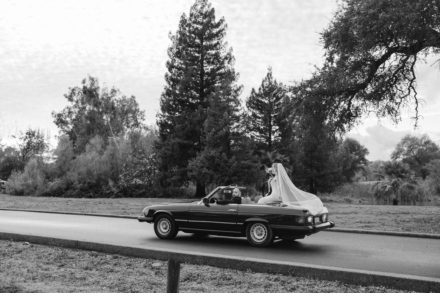 A classic convertible Chevrolet Impala drives on a tree-lined road in black and white photography.
