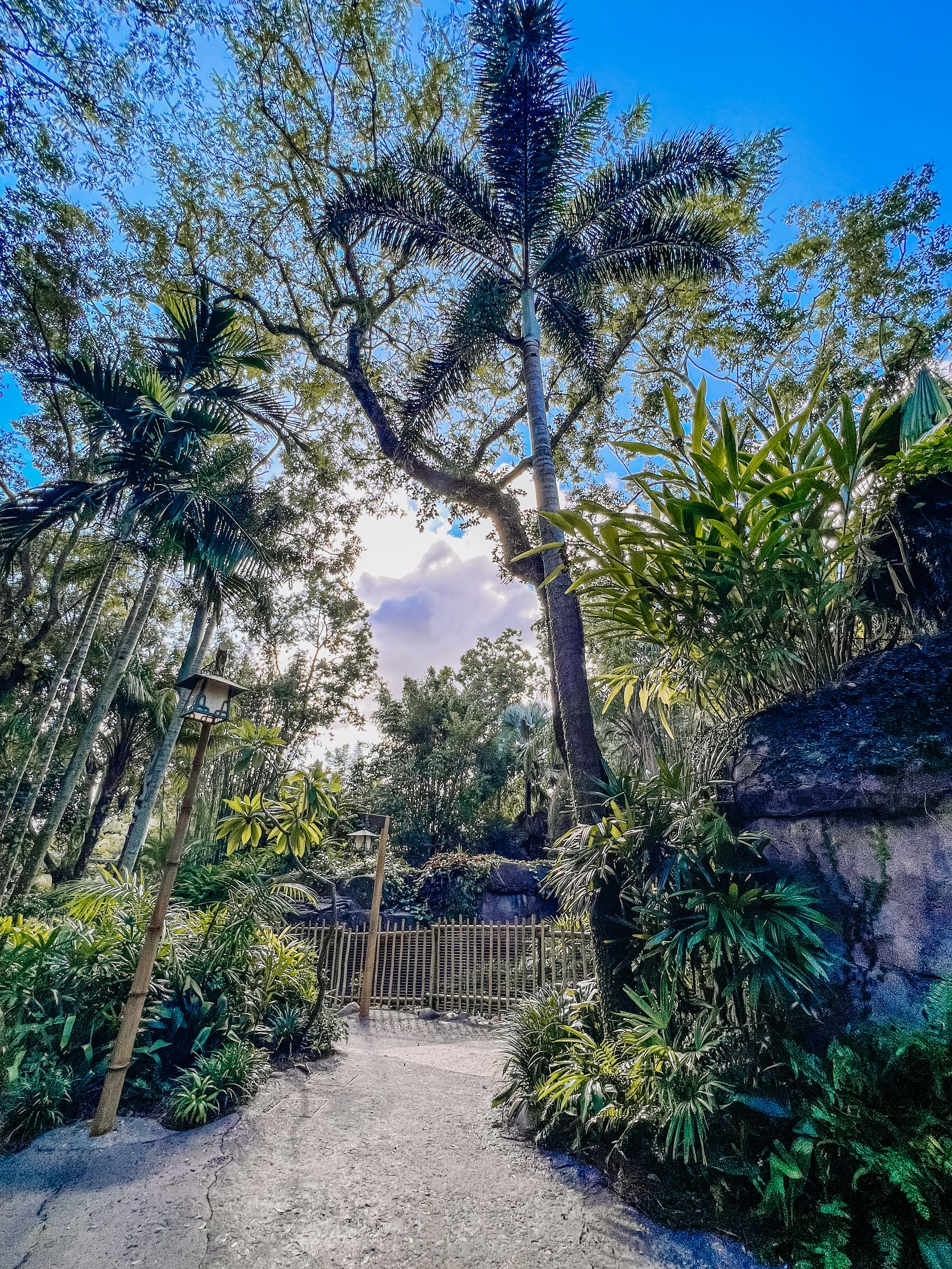 A lush tropical garden path lined with tall palm trees and tropical foliage under a bright blue sky.