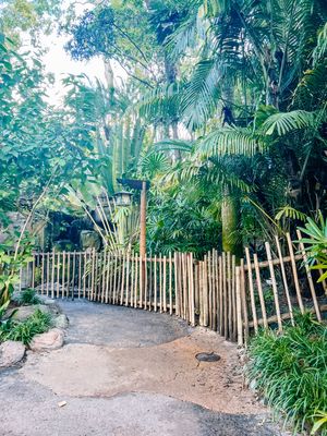 A curved garden path with bamboo fencing and tropical palm trees creating a lush, peaceful walkway.