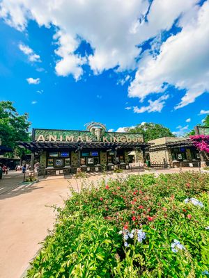 Wide panoramic view of the Animal Kingdom theme park entrance with tropical landscaping and cloudy blue skies.