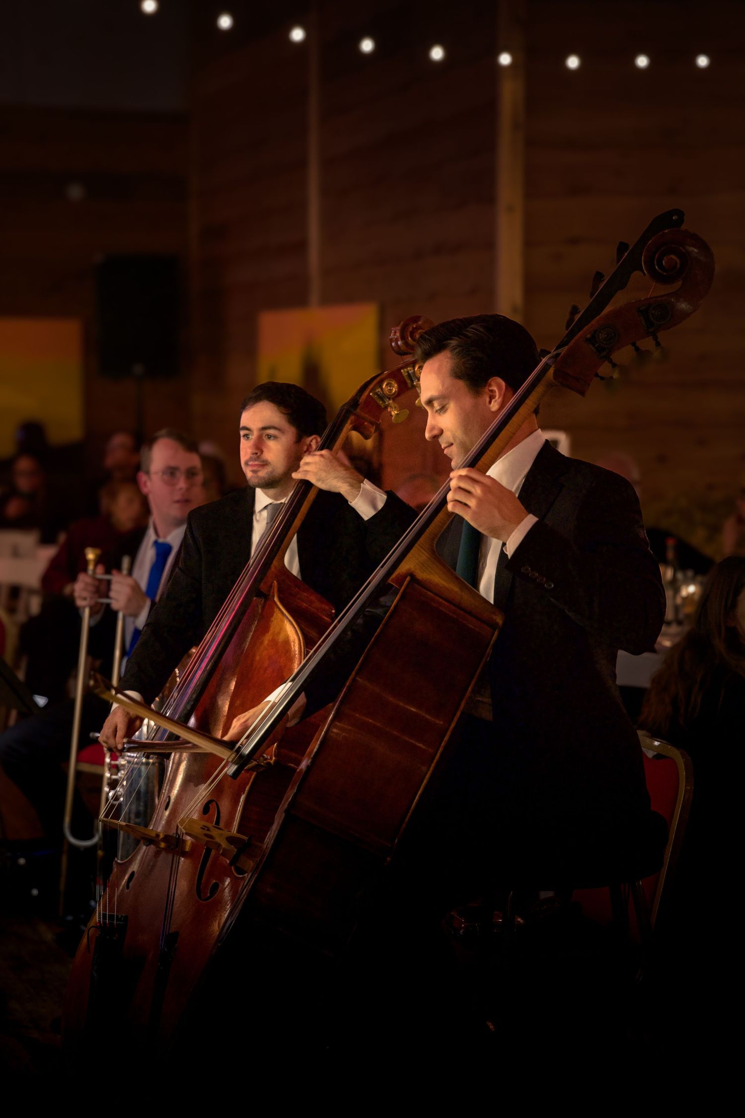 String musicians performing in formal attire at an evening event under string lights.