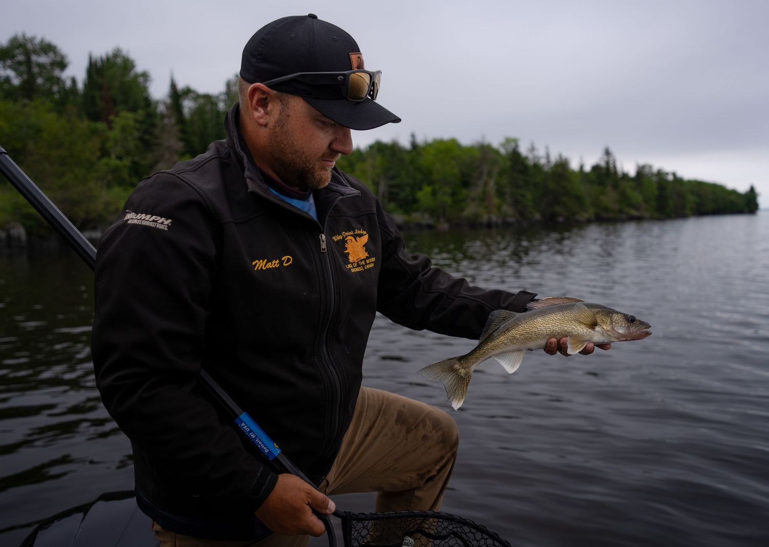 Fishing on a lake with walleye catches displayed in the boat.