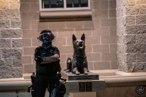 Photography of Protests in the United States of America