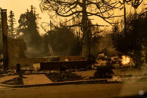 Photos of the Los Angeles Fires