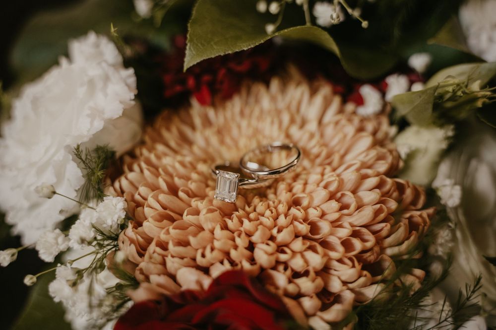 Close-up of peach-colored chrysanthemum flowers with soft focus petals.