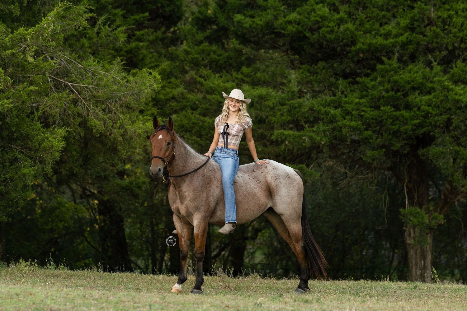 A series of photos showing a person leading and riding a brown horse through a wooded trail area.