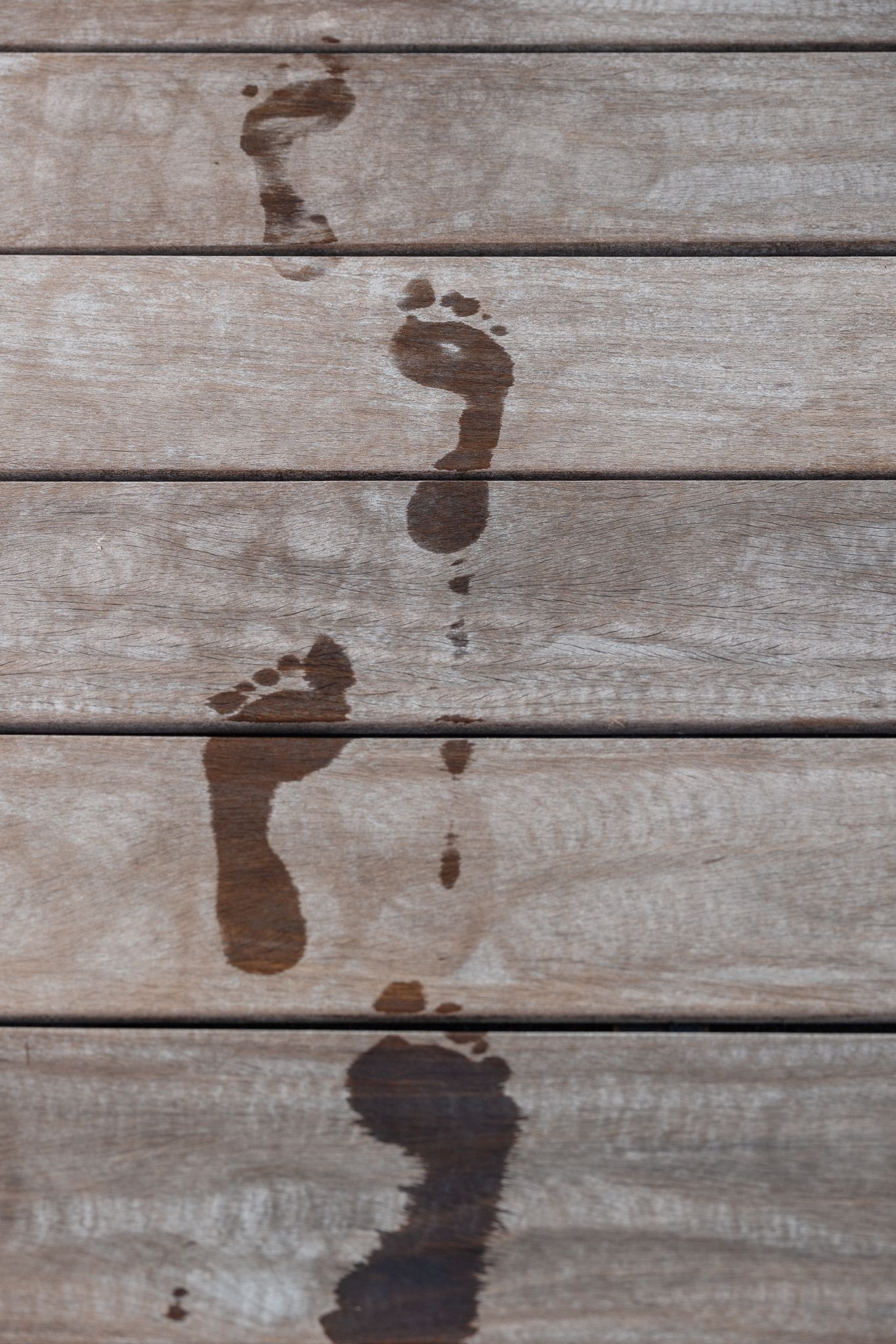 Traces de pas mouilles sur le bois autour de la piscine, capturant un moment spontane et sensoriel d’une seance photo femme enceinte Lille.