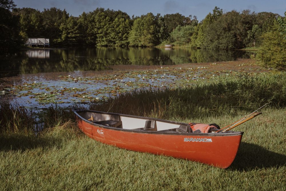 Red canoes resting on the shore of a serene lake surrounded by green vegetation.