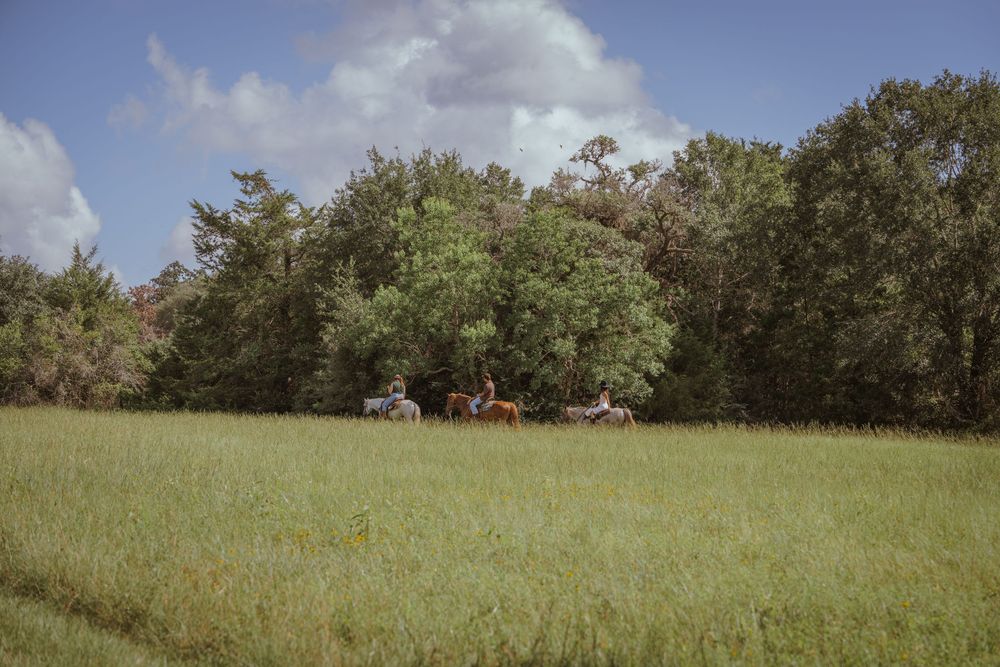 Distant view of horses and riders in an open green field with trees in the background.