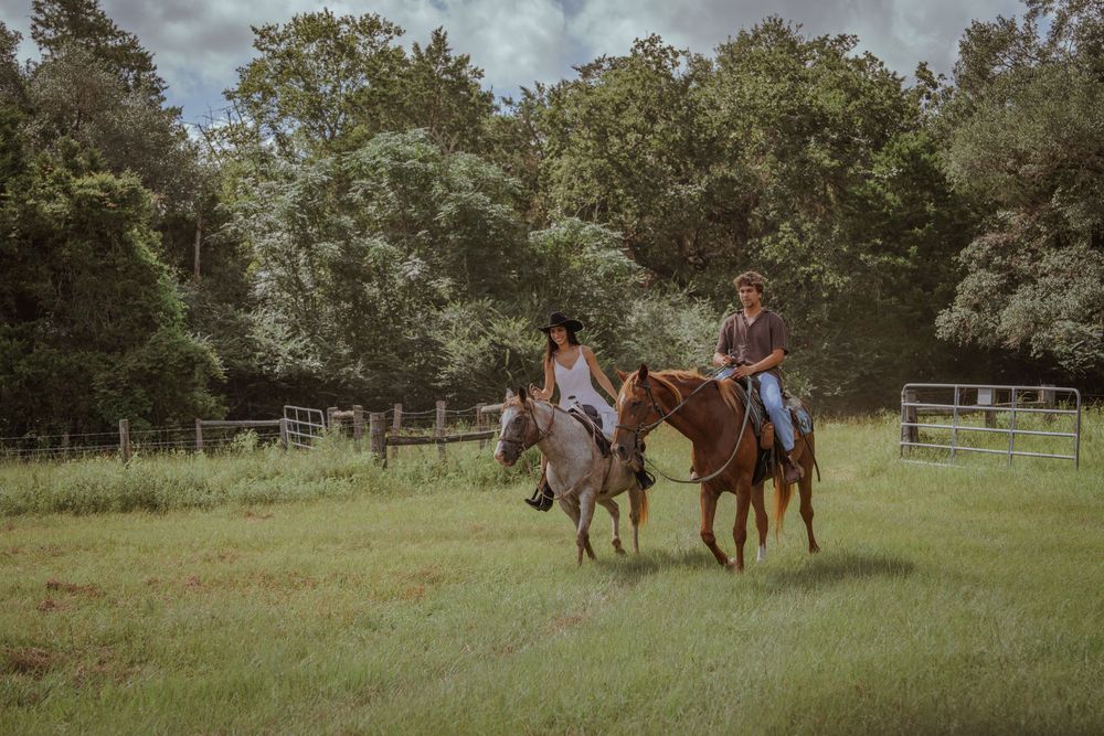 Panoramic view of a pastoral field with horses and riders enjoying a sunny day.