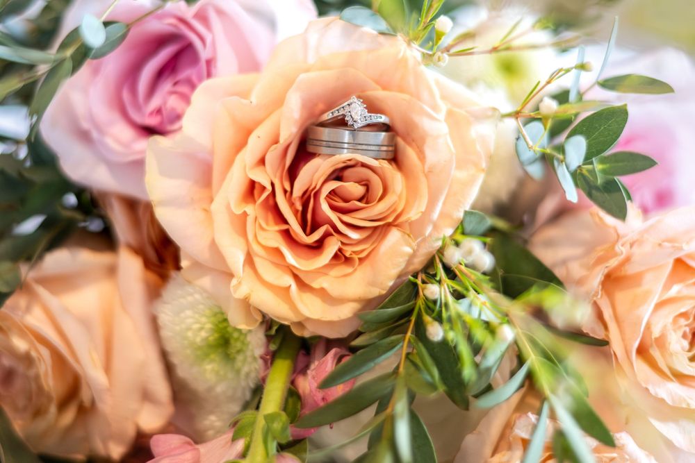 Wedding rings nestled inside a peach-colored rose bloom with pink roses and greenery in the background.