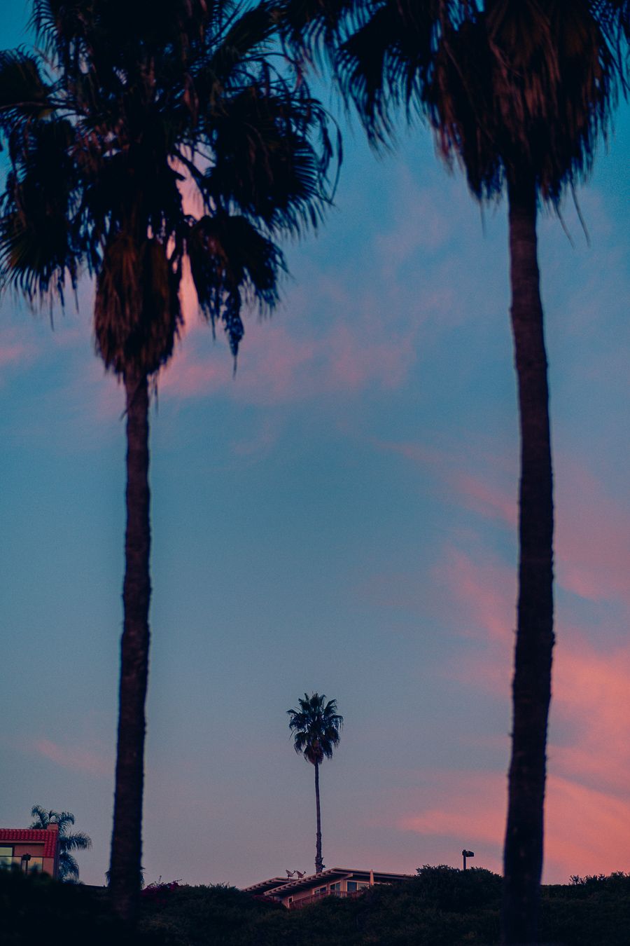 Palm trees silhouetted against a pink and blue sunset sky create a tropical coastal atmosphere.
