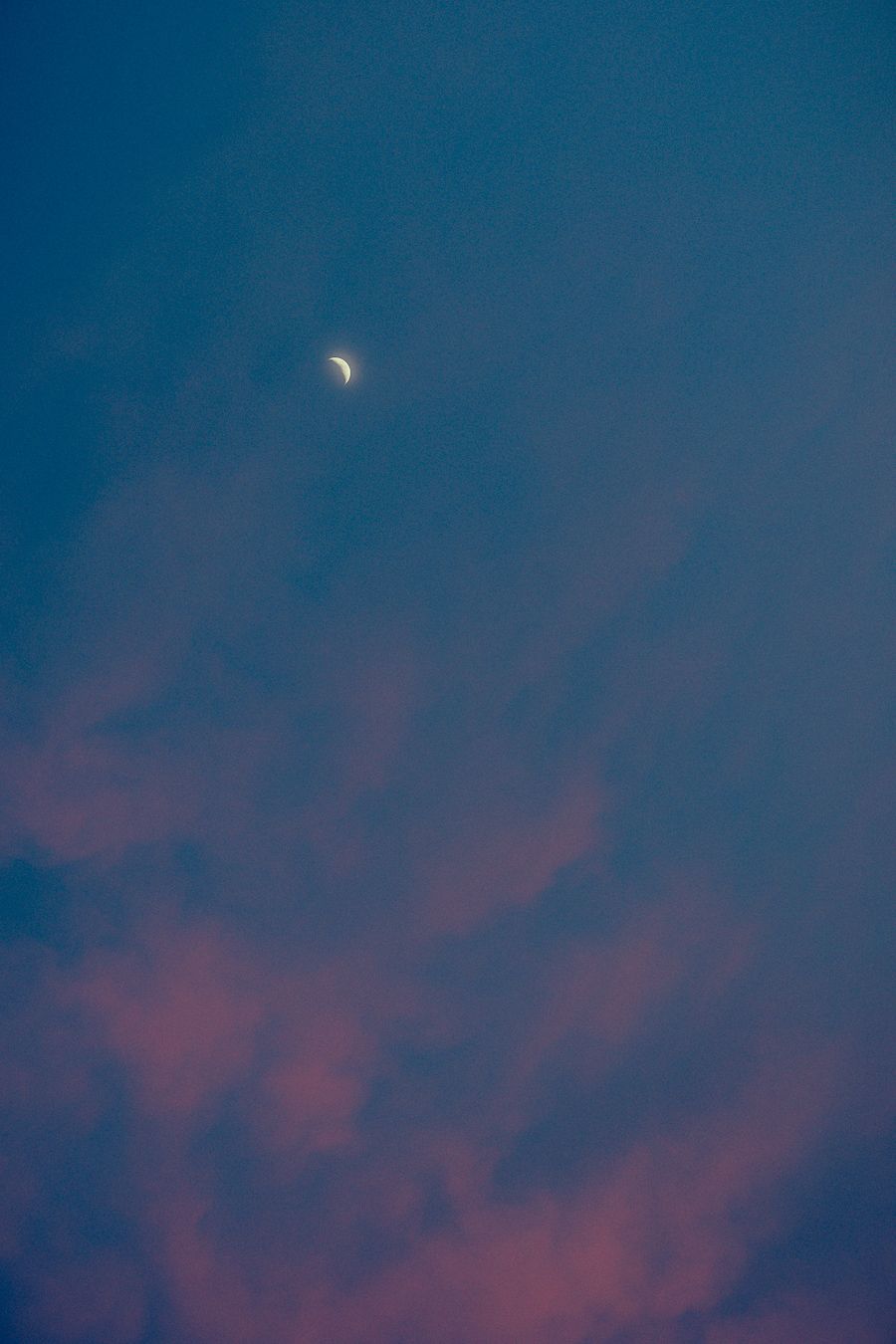 A series of photos showing a solar eclipse progression with pink clouds in a deep blue sky.