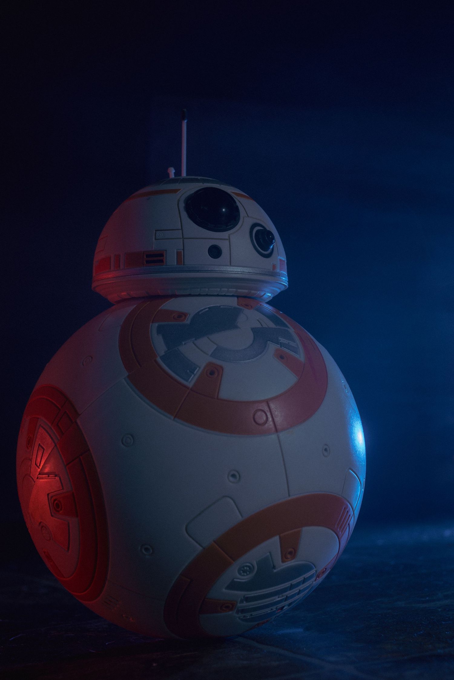 BB-8 cosplay photoshoot
Star Wars cosplay photography
droid cosplay portraits
sci-fi cosplay photoshoot