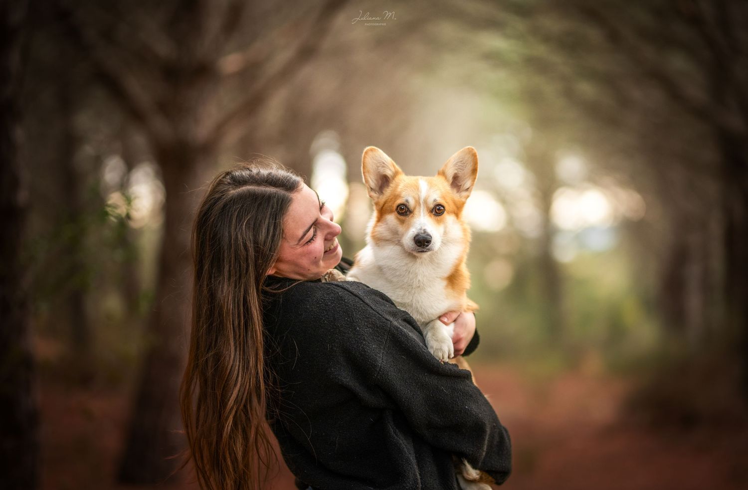 Shooting photo près d'Aix en Provence, photographiez votre chien en forêt