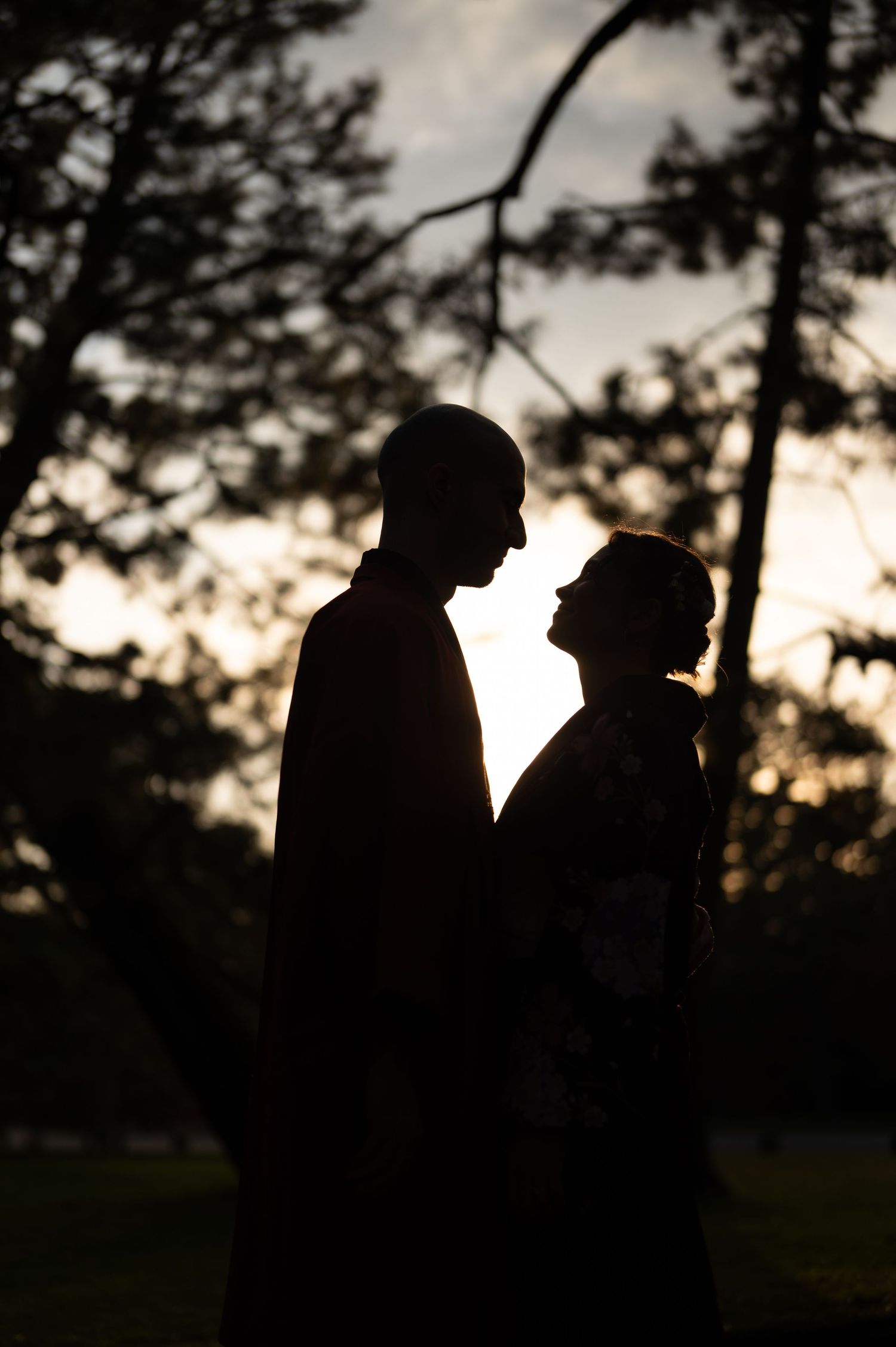 Romantic silhouette of a couple facing each other at sunset framed by dark tree branches at dusk.