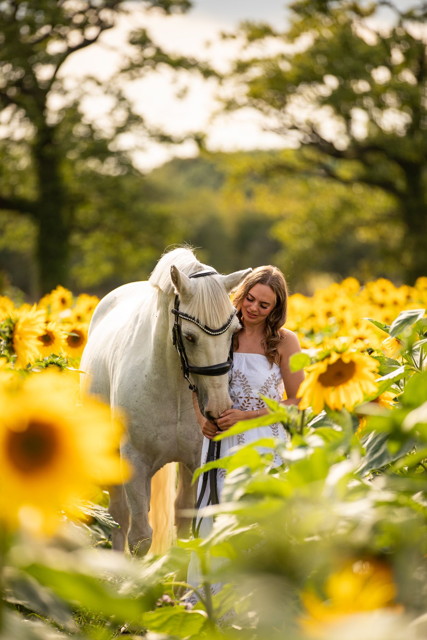Young equestrian poses with palomino pony in a series of natural outdoor portraits showing their special bond.