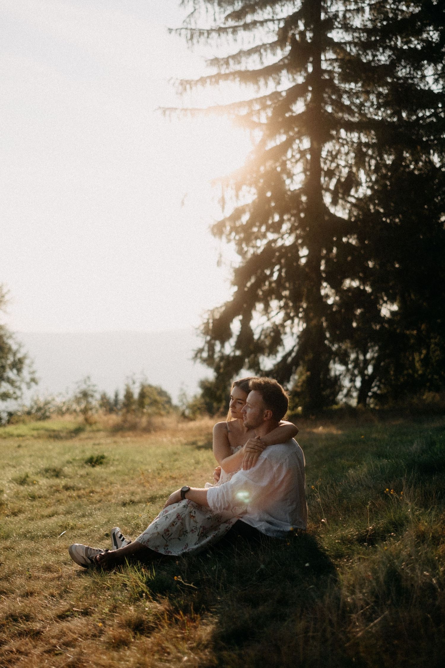 Person sitting on grassy hillside at sunset with sunlight filtering through evergreen trees.