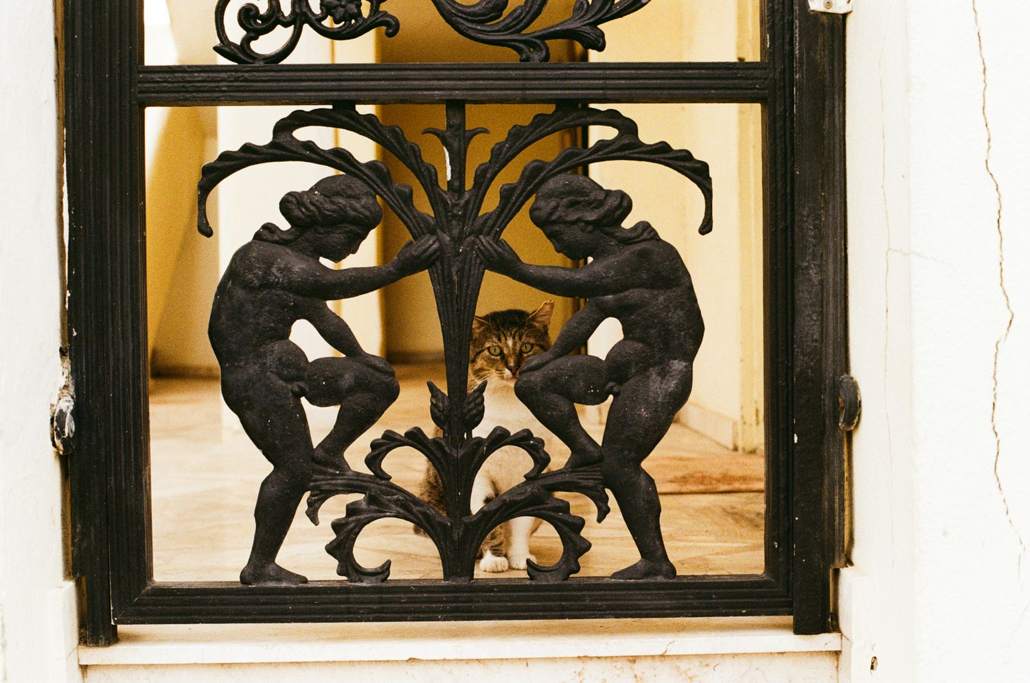 Ornate black metal decorative panels with scrollwork designs mounted on a beige wall create an elegant architectural detail.