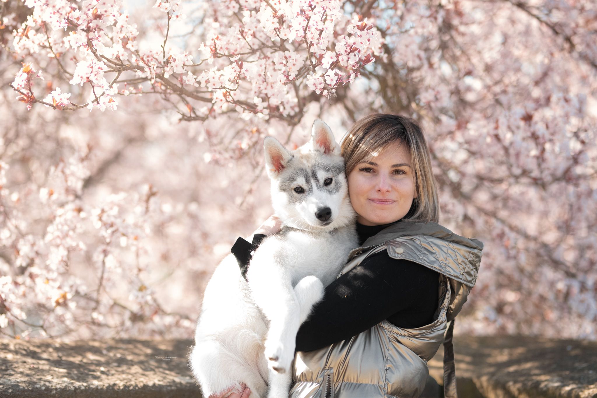 A person poses under blooming cherry blossom trees in spring with soft pink petals creating a romantic atmosphere.