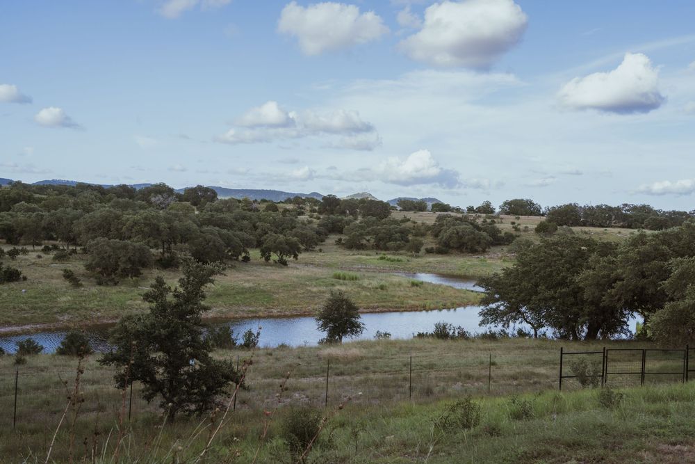 Panoramic view of rolling hills and scattered trees under blue sky with white clouds.