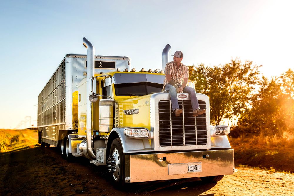 A series of trucks and trailers parked at sunset with golden light creating a warm glow.