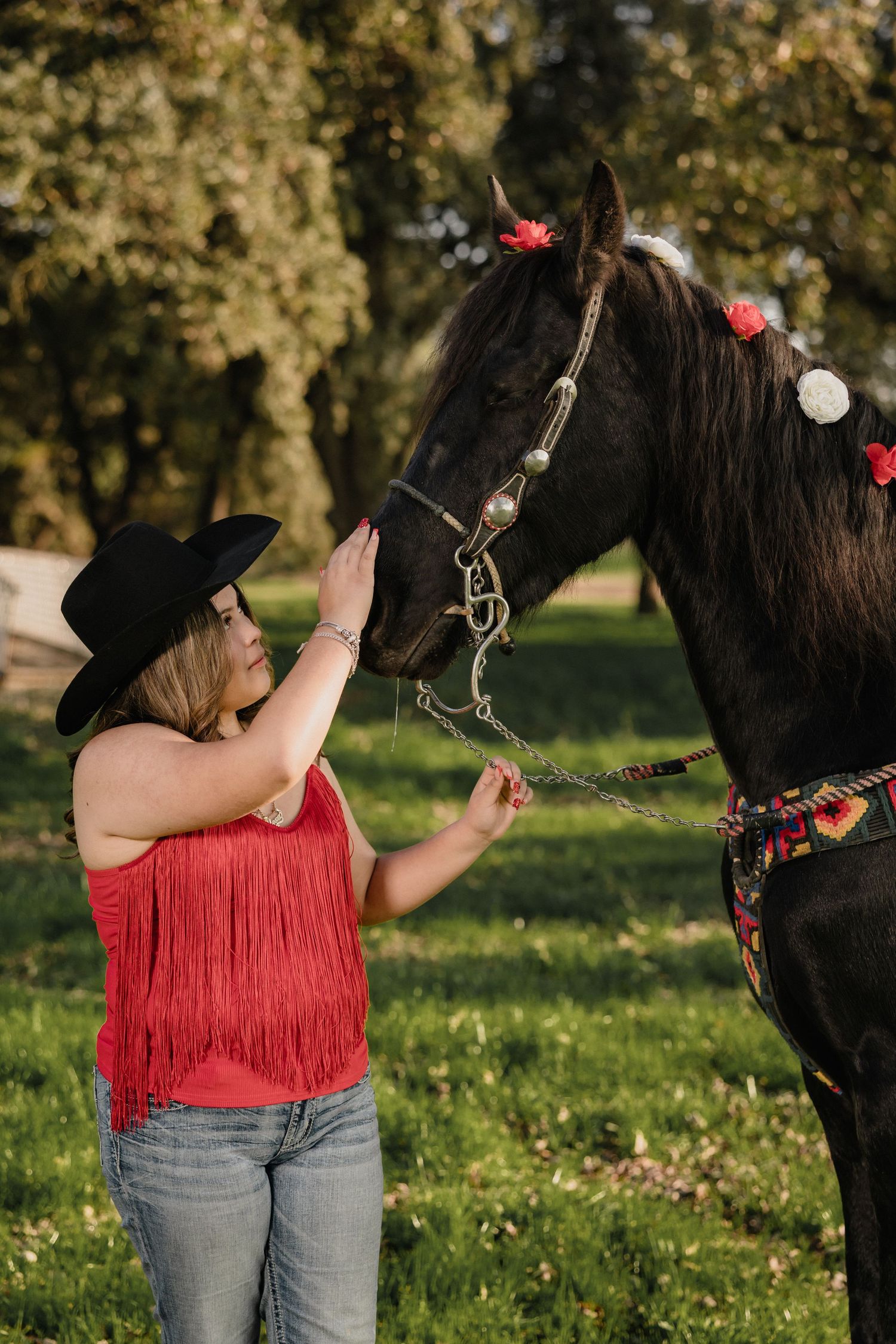 A black horse wearing red decorative tack stands in a sunlit meadow beneath oak trees.