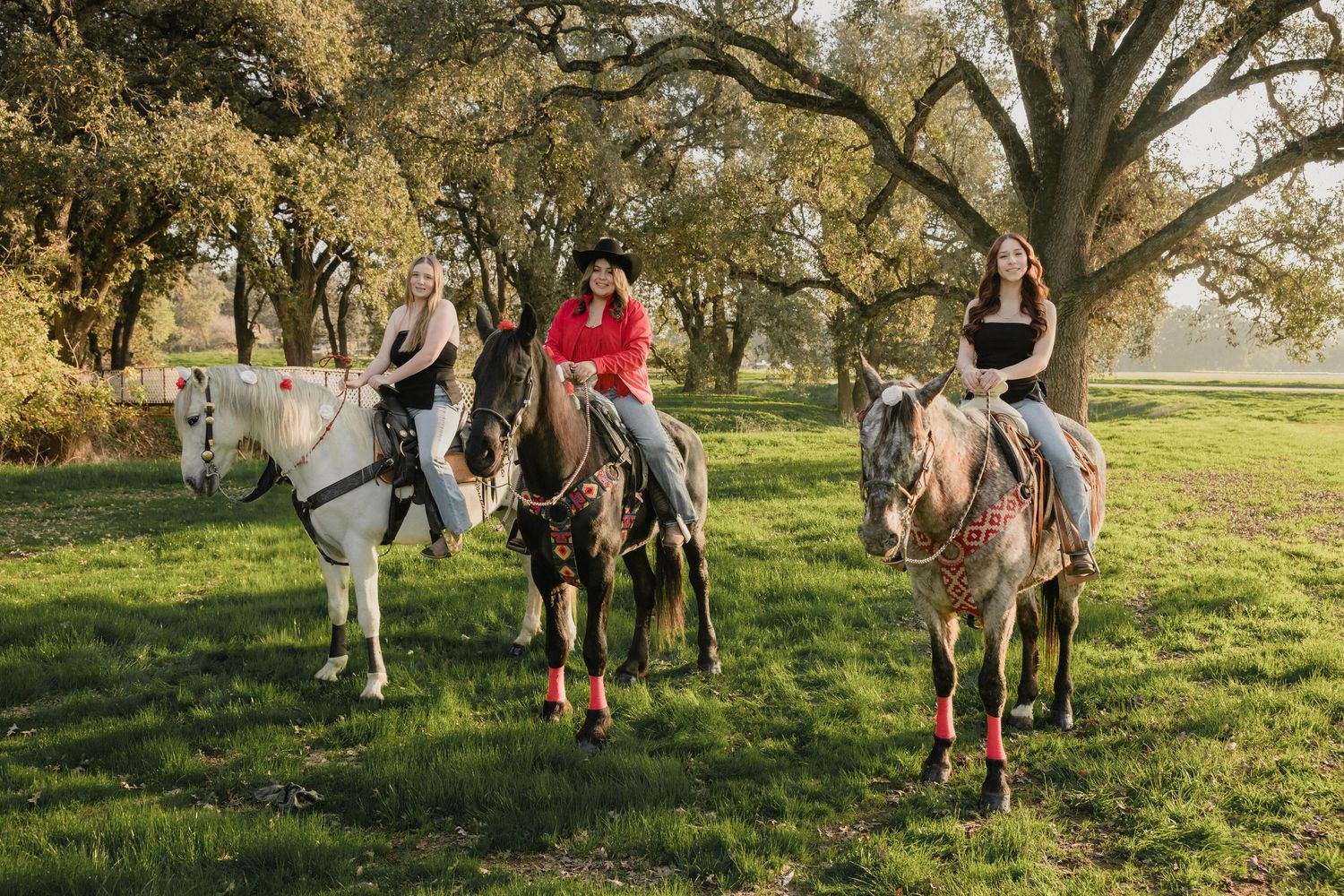 Group of people walking with horses through a sunlit meadow during golden hour.