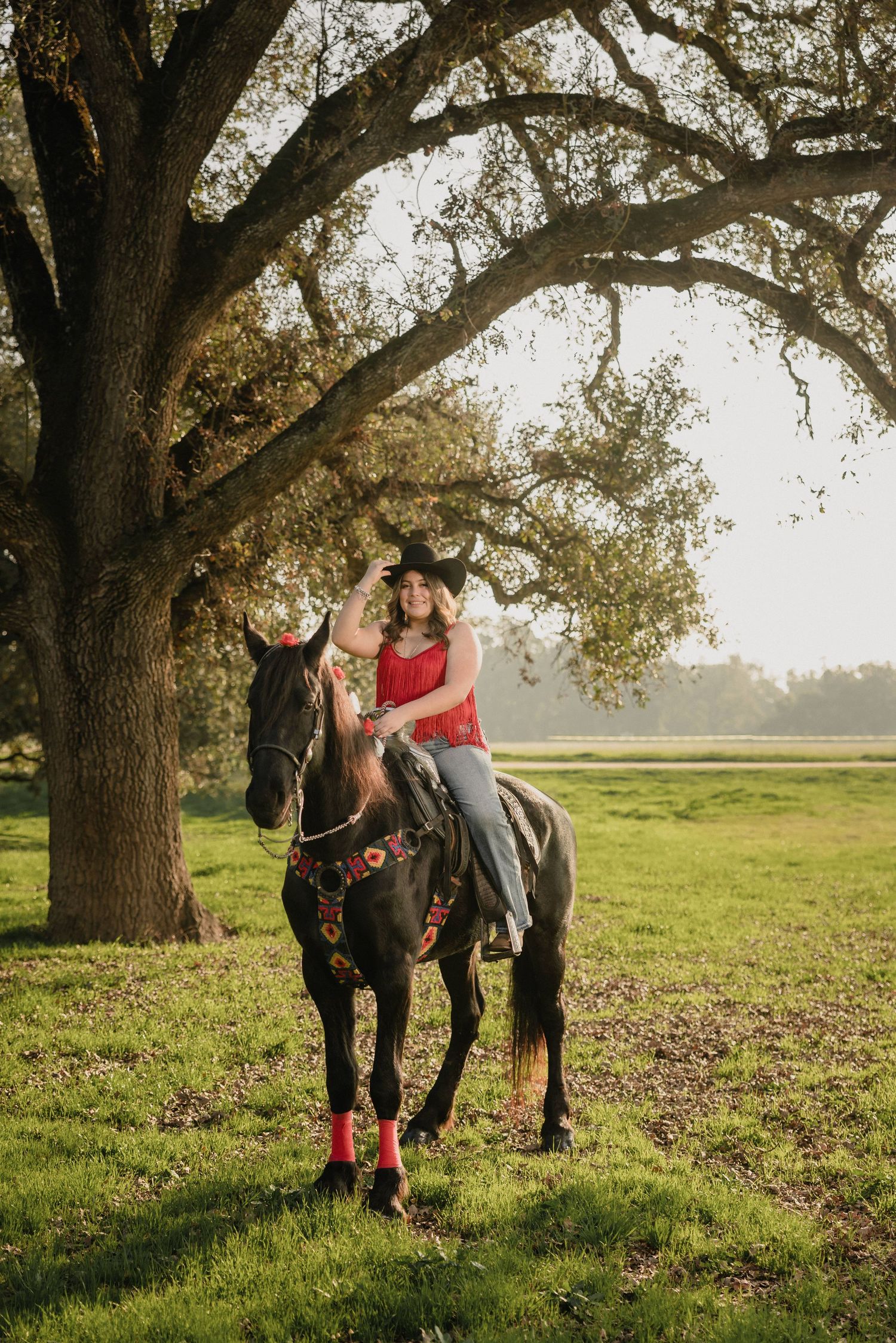 Two horses stand beneath a large oak tree in a grassy field during golden hour.