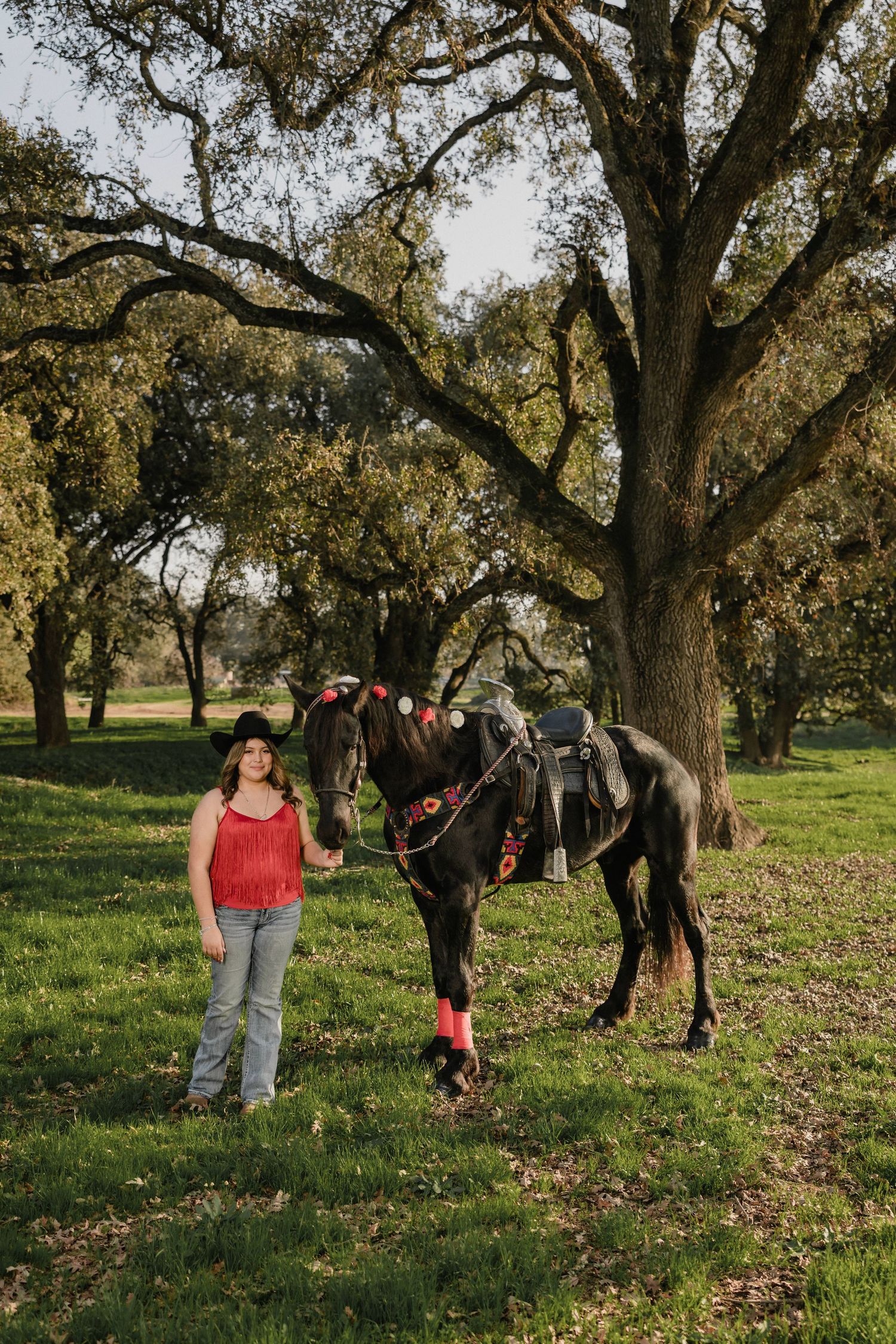 A brown horse stands in a grassy field with oak trees while people gather around on an autumn day.