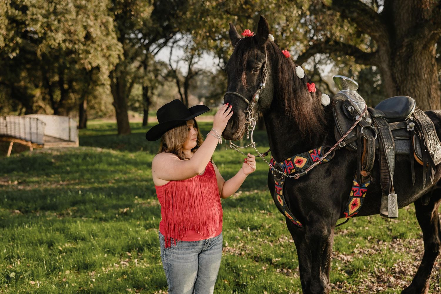 A horse and rider interact in a sunlit field with trees in the background.