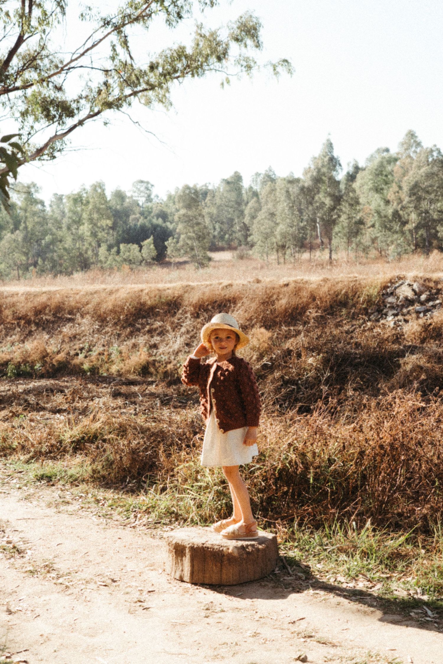Person in brown sweater and straw hat standing on wooden stump along nature trail.