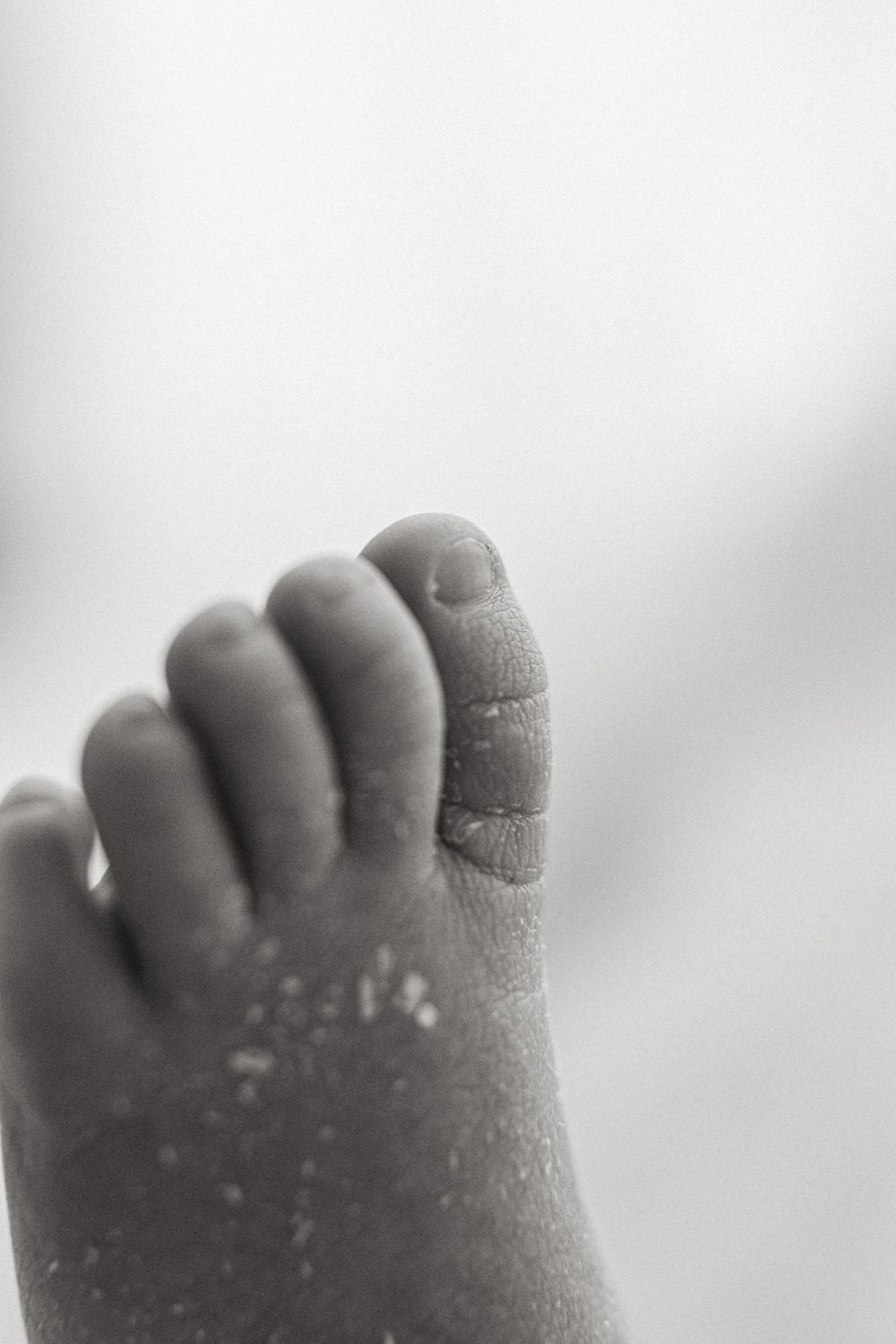 Close-up black and white photograph of tiny baby toes with soft focus and shallow depth of field.