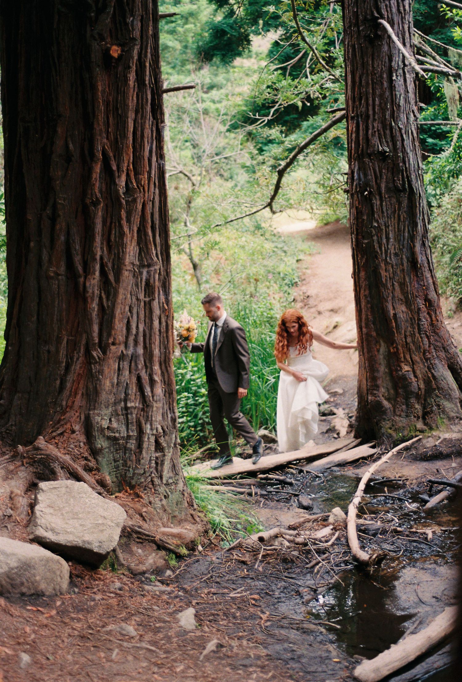 big sur redwoods elopement on film
