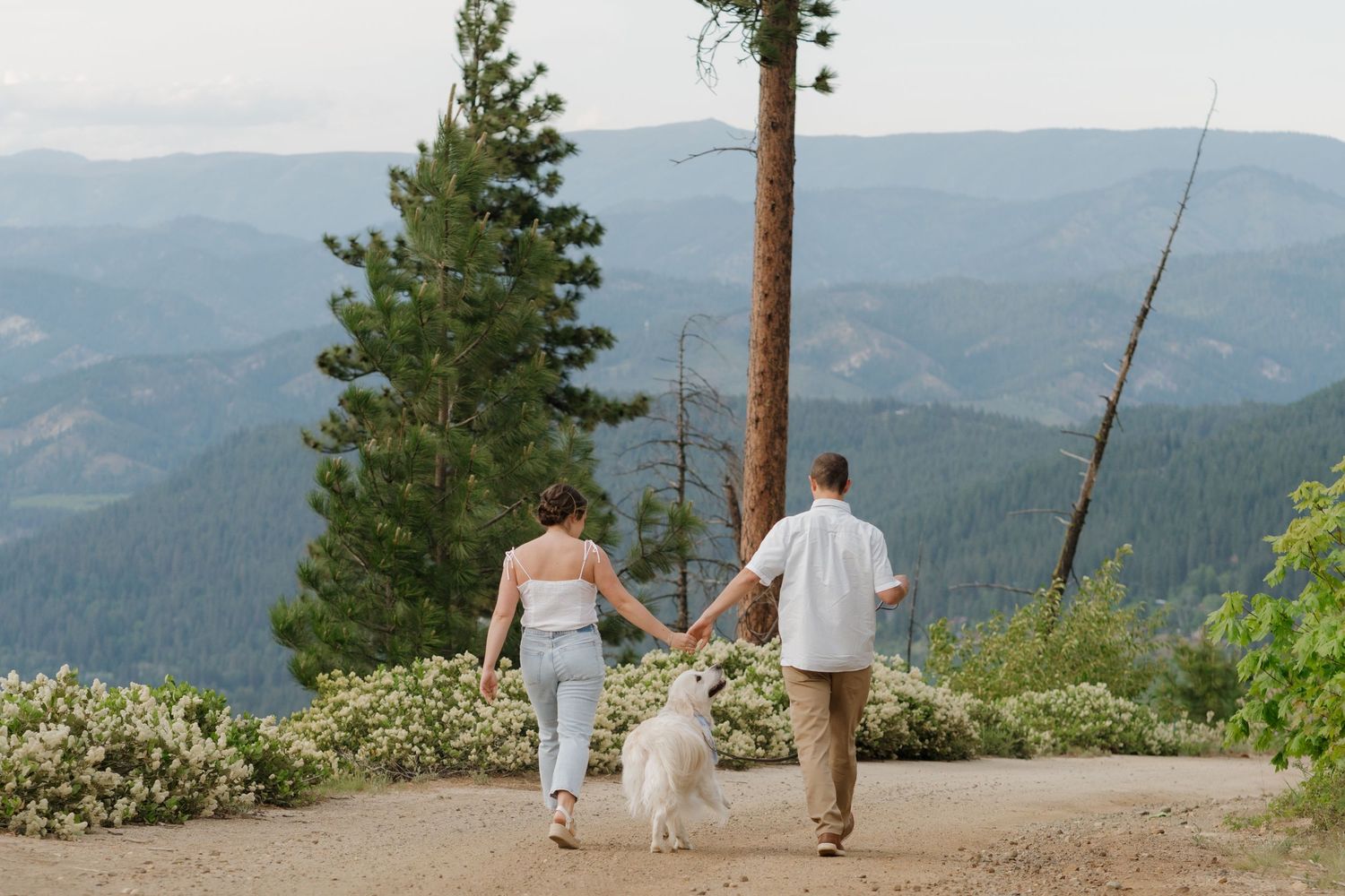 A couple walks hand in hand with their dog on a mountain trail overlooking a scenic forest landscape.