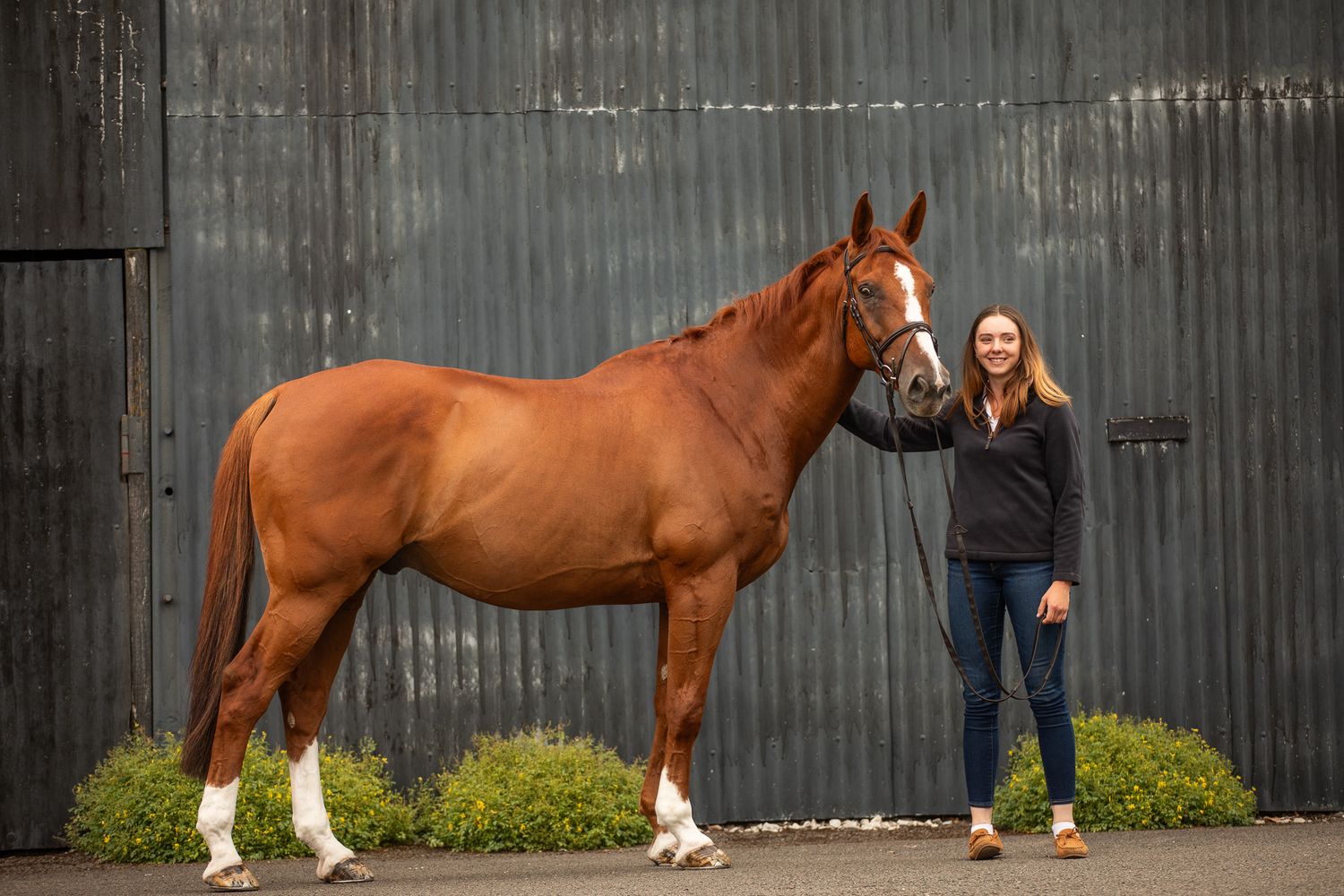 A horse and its rider enjoy an outdoor photoshoot session near rustic wooden fencing on a sunny day.
