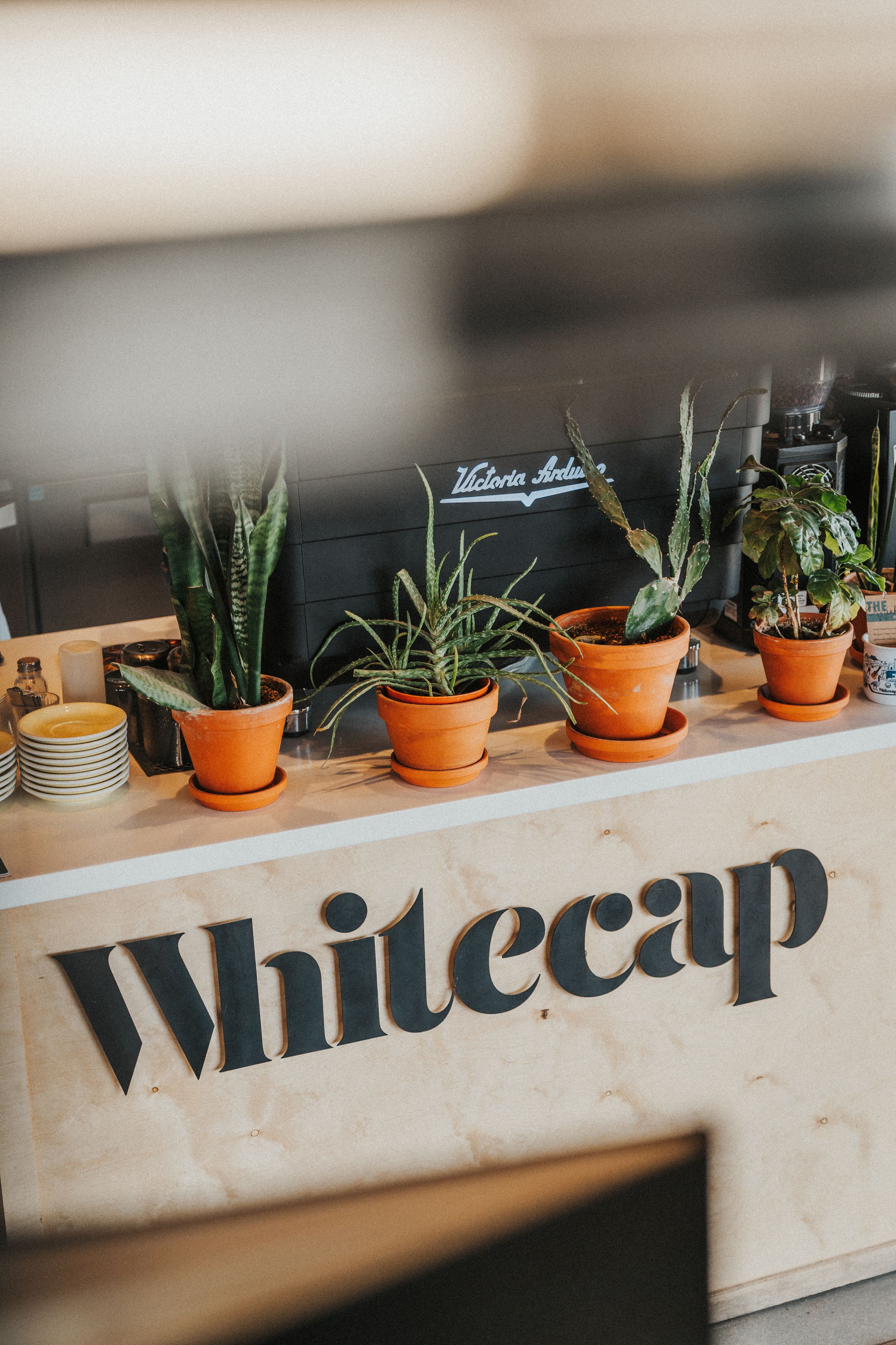 Whitecap Coffee on Winkler Manitoba